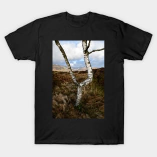 Silver on the Fell T-Shirt